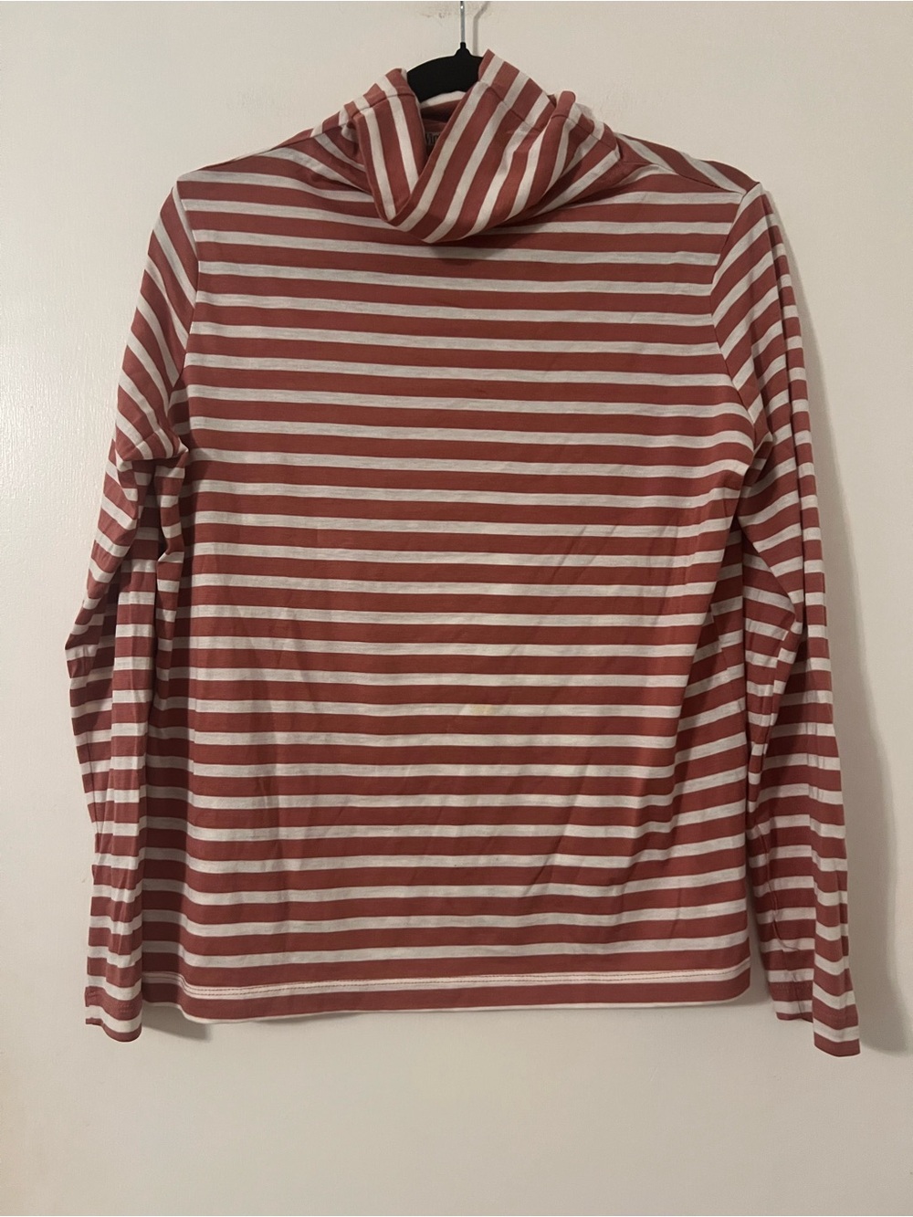 Winter Silks Striped Long-Sleeve Turtleneck Top in Rust & White (AA101)
